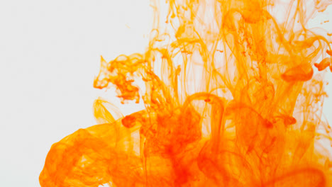 Orange-Paint-Or-Dye-Dropped-Into-Water-Against-White-Background-To-Create-Swirling-Colourful-Smoke-Background-6